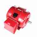 Marathon 125 Hp Fire Pump Motor, 3 Phase, 3600 Rpm, 200/400 V, 404Ts Frame, Odp U531